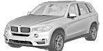BMW F15 P1AF6 Fault Code